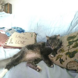 Meet your Posher, Lisa